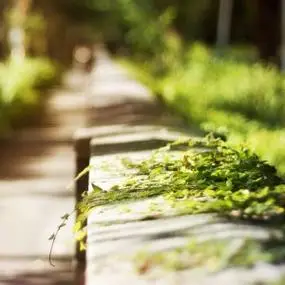 安静淡然的意境头像高清安静的图片头像唯美淡然