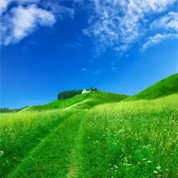 适合春天的头像图片高清适合春天微信头像合集