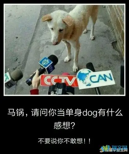 情人节说说心情短语自己过情人节的说说