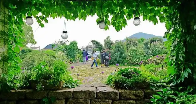 多多花园,花样多多,游客多多,多多美好.无锡锡山区锡北镇.