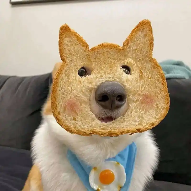 全网搜集的搞怪男女通用头像06 不知原创