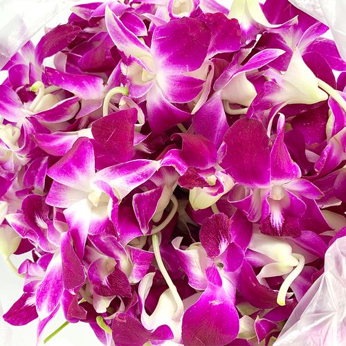 新鲜洋兰花250g* 2杨兰花马兰花锅酒店饭店西餐点缀摆盘装饰鲜花朵