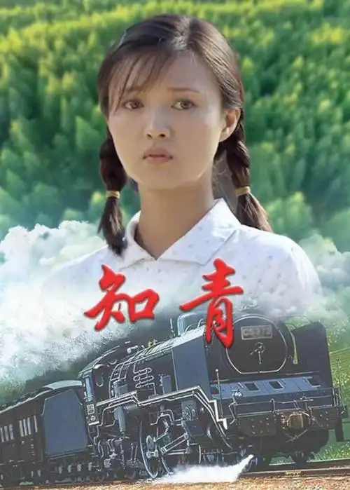 唐曾,傅晶,程皓枫,李欣凌,王锴等.