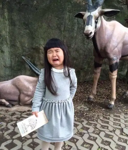 《爸爸去哪儿》10位女孩颜值变化大:丑萌逆袭,最美的到了尴尬期