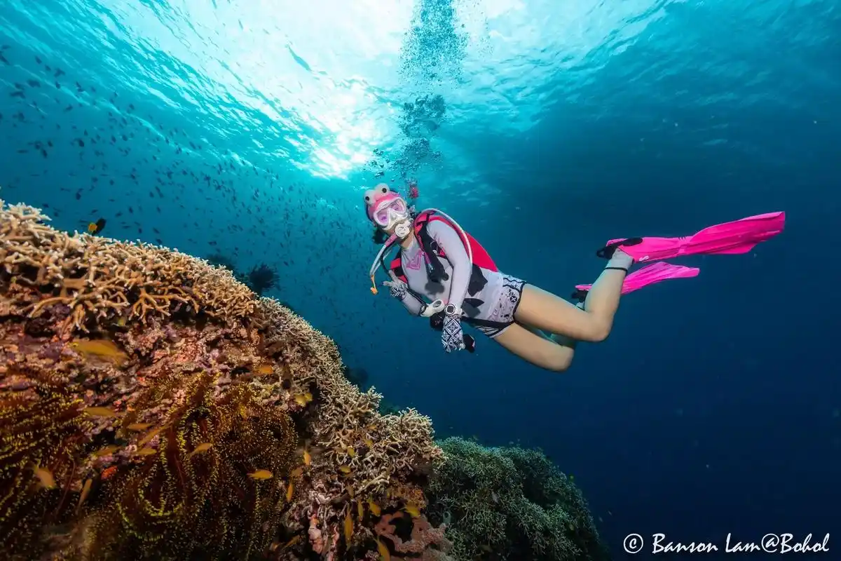 水肺潜水 #潜水 #水下摄影 #水下拍摄  - 抖音