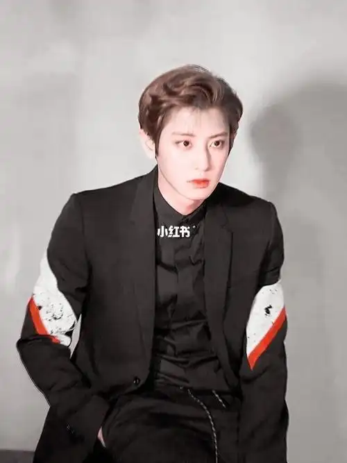 朴灿烈高冷的朴总