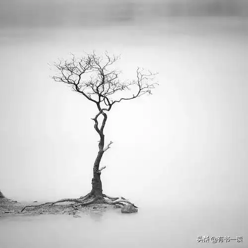 季羡林阅尽沧桑的12条经典人生箴言,让人受益终生,感触良多