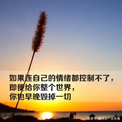 总会跟对象吵架,是你不会控制情绪,学会冷静也是一种成长