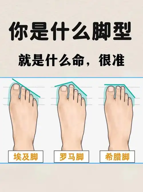 什么脚型什么命