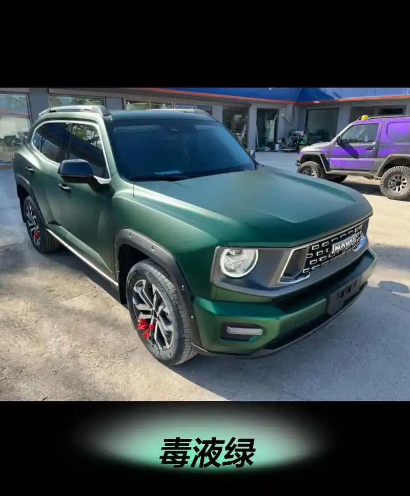 全网最全的哈弗大狗改色案例.