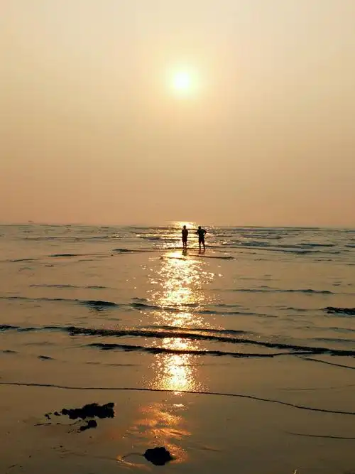 海边清晨浪漫曲