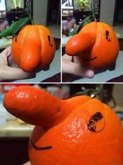 发几张不正经的照片,笑死人不偿命!