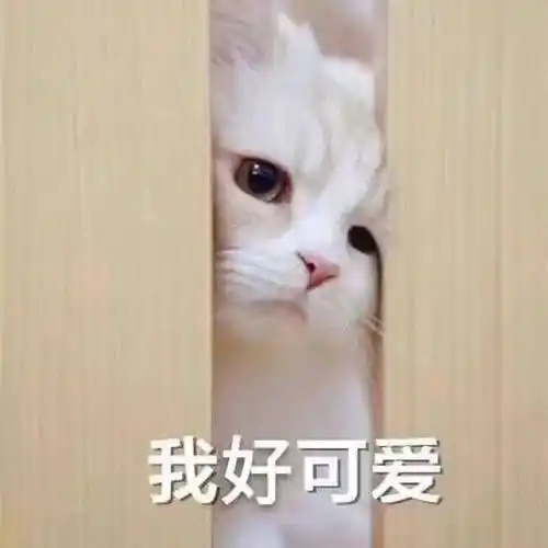 微信可爱沙雕表情包