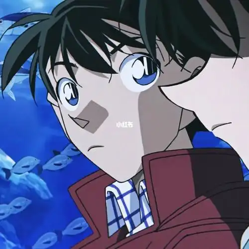 名侦探柯南  #工藤新一  #毛利兰#新兰  #动漫情头