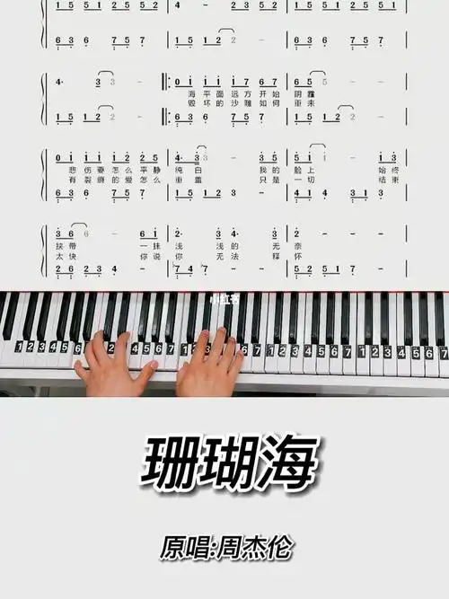珊瑚海钢琴简谱教程