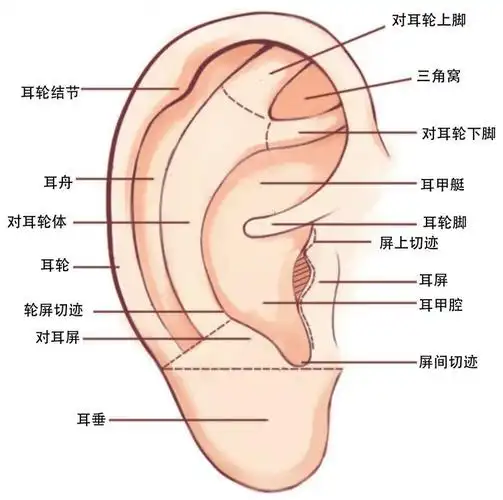 《中医健康养生》第六十课