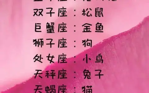 十二星座专属宠物 白羊座最适合养:比熊 企