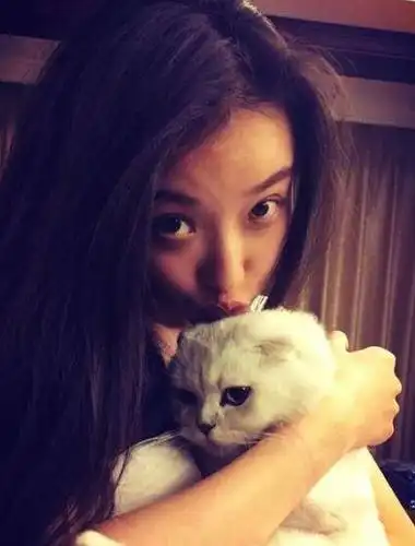 倪妮工作室发声明否认虐猫:纯属恶意造谣