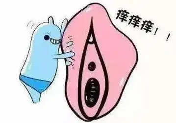引起女性外阴瘙痒的原因