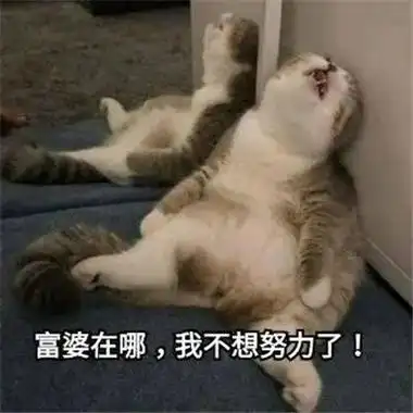 像被富婆包养,今天就给大家带来这组超级搞笑又很又内涵的表情包哦