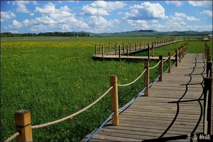 (原摄)河北张家口9-沽源-五花草甸 - 墨青拍摄 - 墨青拍摄