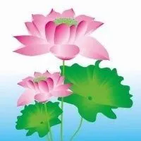 念佛人的莲花头像图_微信头像图片大全
