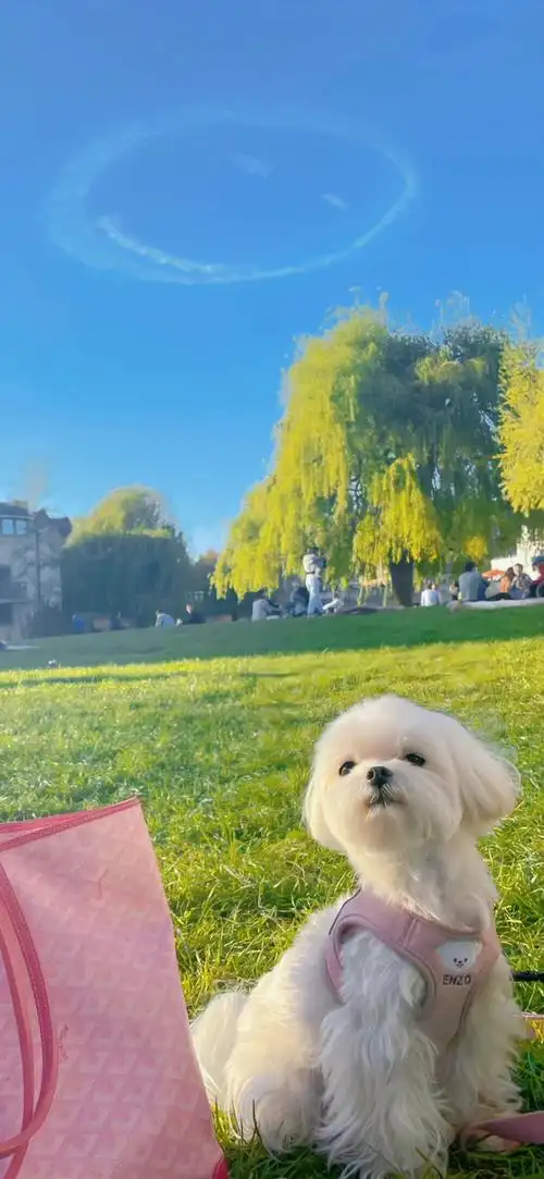 壁纸锁屏好看氛围感动漫高级感文艺感小众治愈