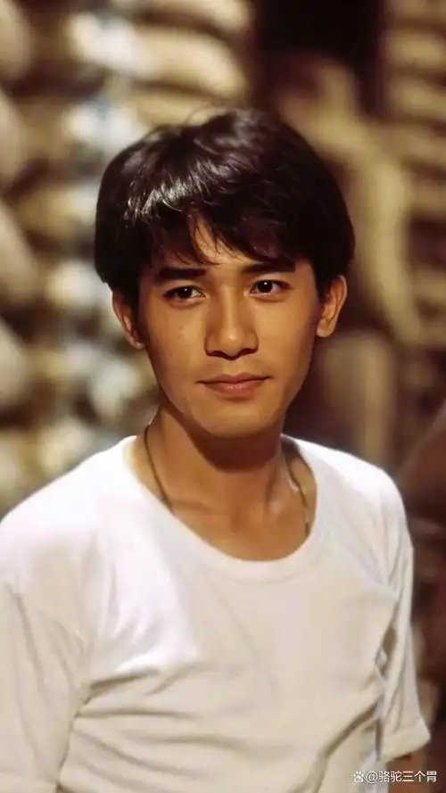 时光不留情15位香港男星白发成龙一夜显老刘德华也难逃衰老