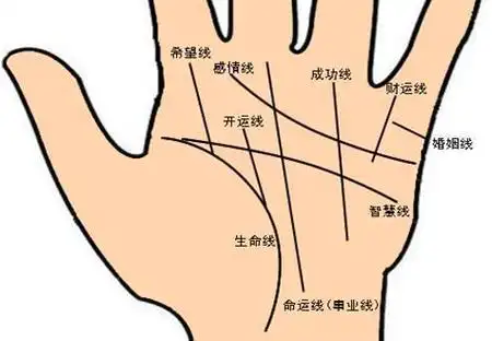 越老越有福的手相_手掌_生活_年龄