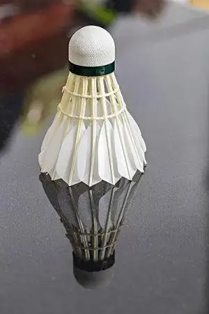 单个物体图片_全景网