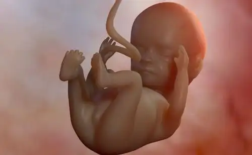 怀孕三个月男胎儿图