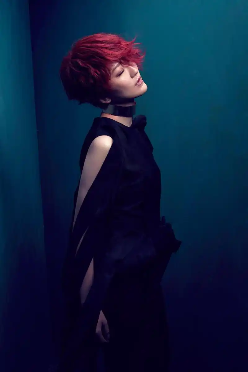 组图:蔡淳佳宣传照曝光变身都市女 红发醒目_高清图集_新浪网