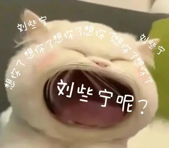 刘些宁  我好想你#表情包