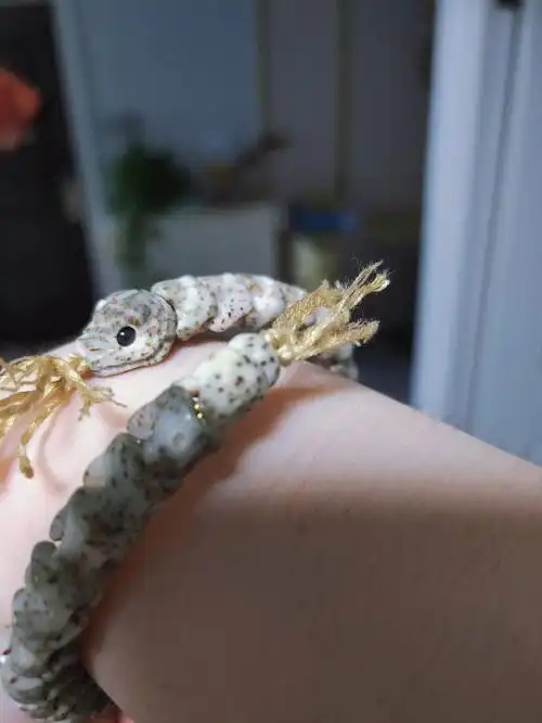 的小尾巴重点是才一张就可以带回家#星月菩提  #文玩星月菩提  #蛇