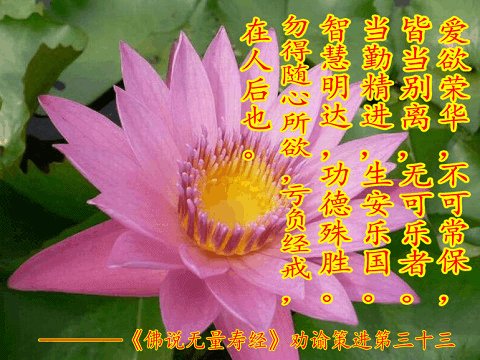 480_360gif 动态图 动图