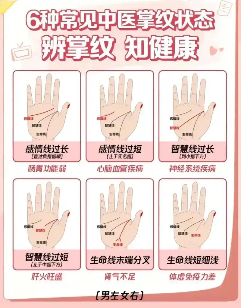 #手掌纹 手相 - 抖音