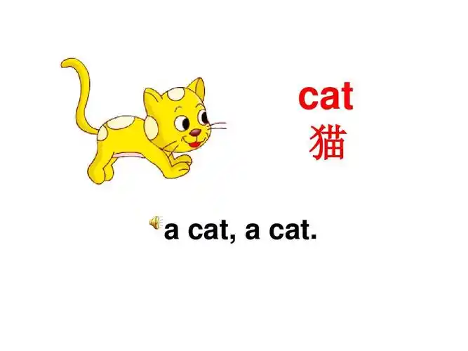 cat 猫 a cat,   cat.