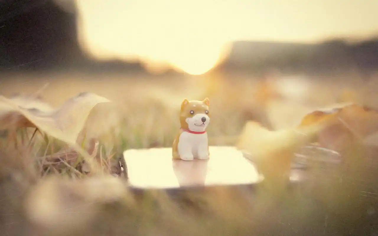 可爱小狗萌物摆件创意图片桌面壁纸