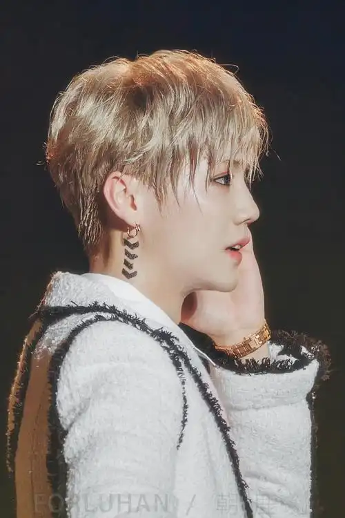 鹿晗银灰发侧颜照