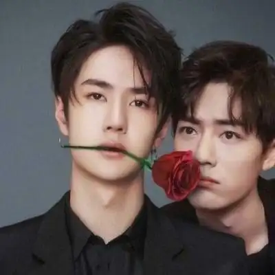 陈情令肖战王一博高清头像 只是自以为心若顽石,却终究人非草木