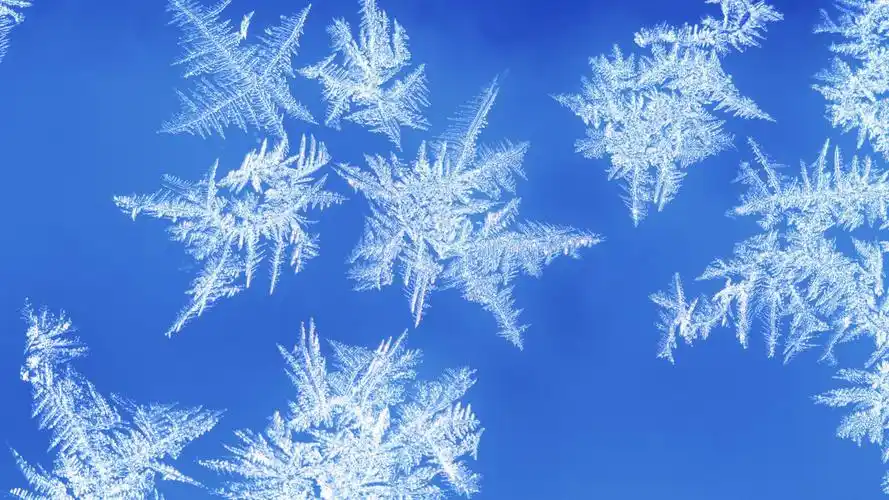 淡蓝色唯美雪花高清桌面壁纸