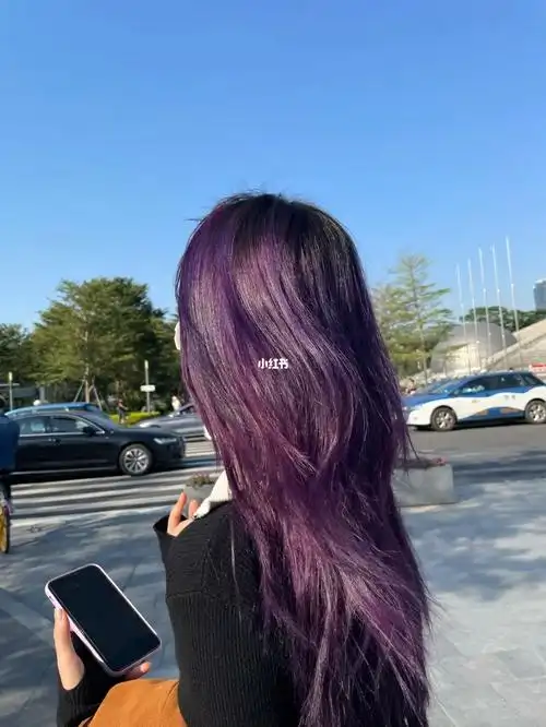 施华蔻葡萄紫u6999可购买78染膏数量:我的头发层次很明显,发质