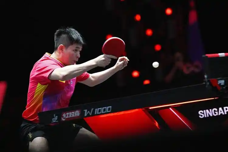 乒乓球wtt新加坡大满贯林诗栋无缘八强