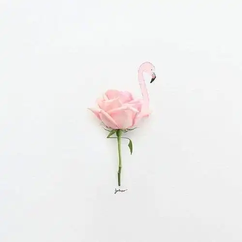 2020抖音最火爆的哲理句子拿去发朋友圈吧