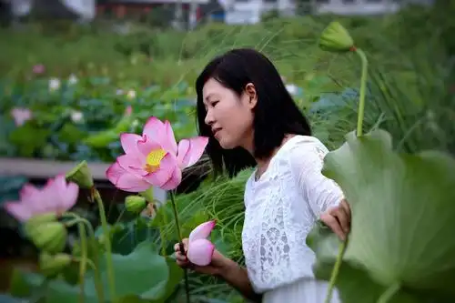 心如莲花,一路芬芳