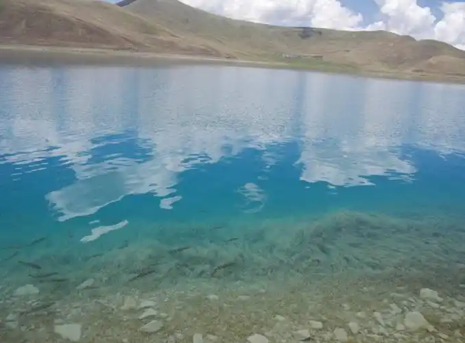 羊湖之行真的很值风景很美~很治愈同时拍照也是绝绝子旁边也有藏獒