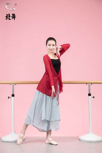 北舞练功服女长袖形体舞蹈上衣红色中长中国现代舞服装