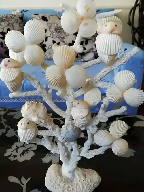 李洪海——贝壳作品