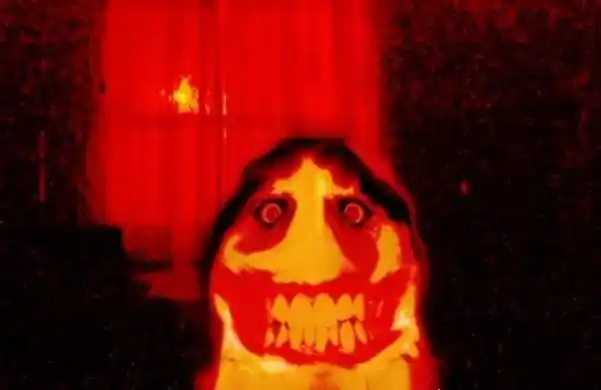 微笑狗的恐怖故事