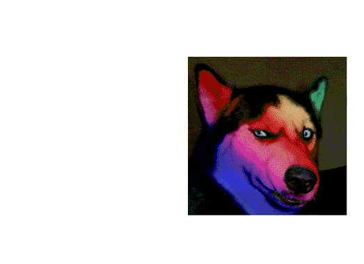 搞笑表情狗狗发光gif动图_动态图_表情包下载_soogif